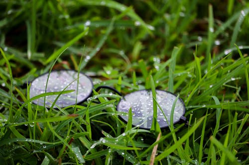 A Wet Eyeglasses on a Grass