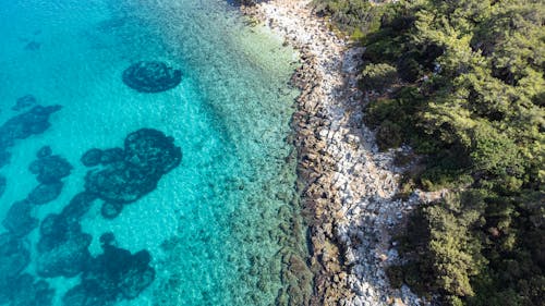 Gratis arkivbilde med dronebilde, flyfotografering, hav