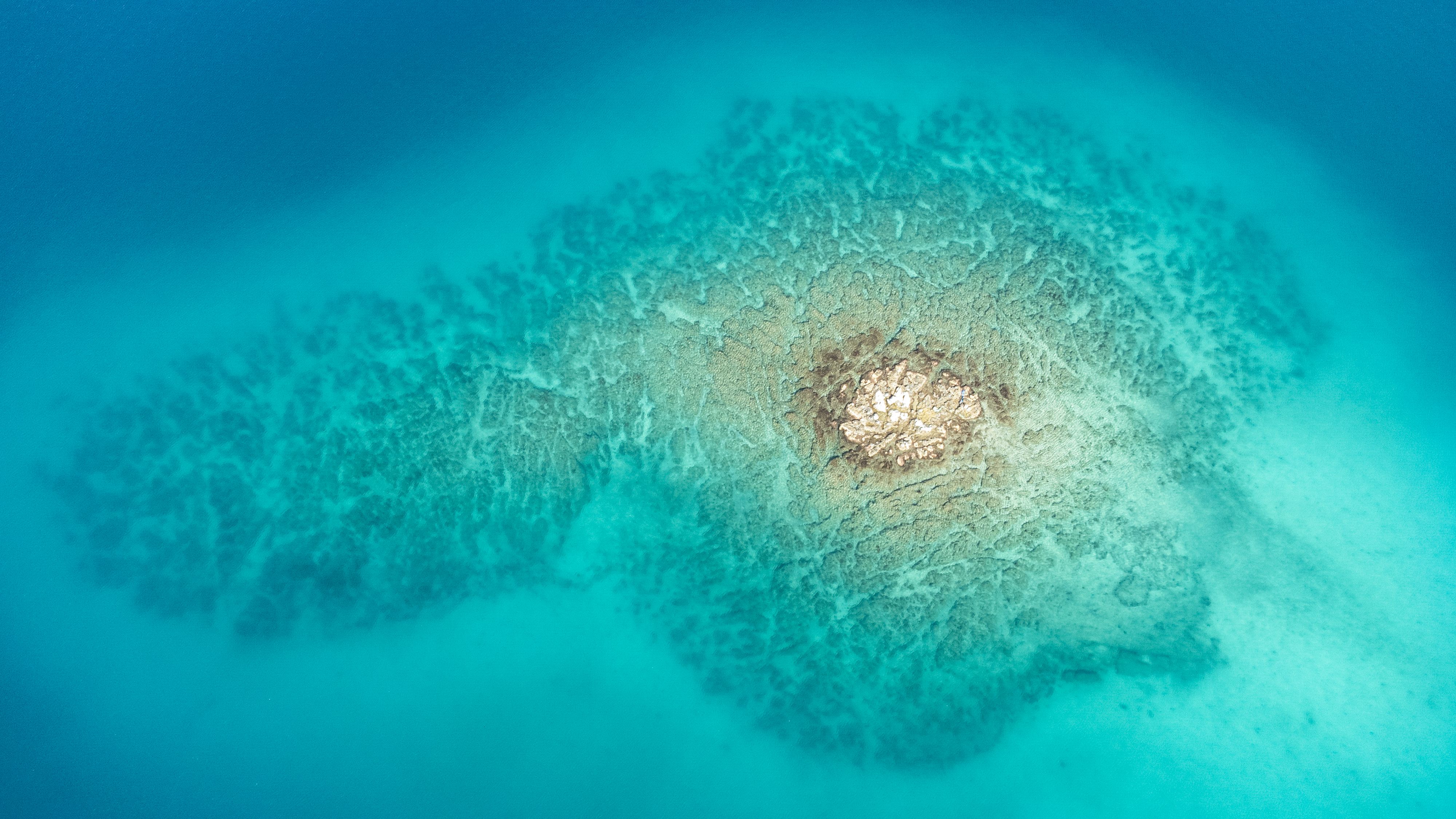 Aerial View of Green Island in the Middle of Blue Sea · Free Stock Photo