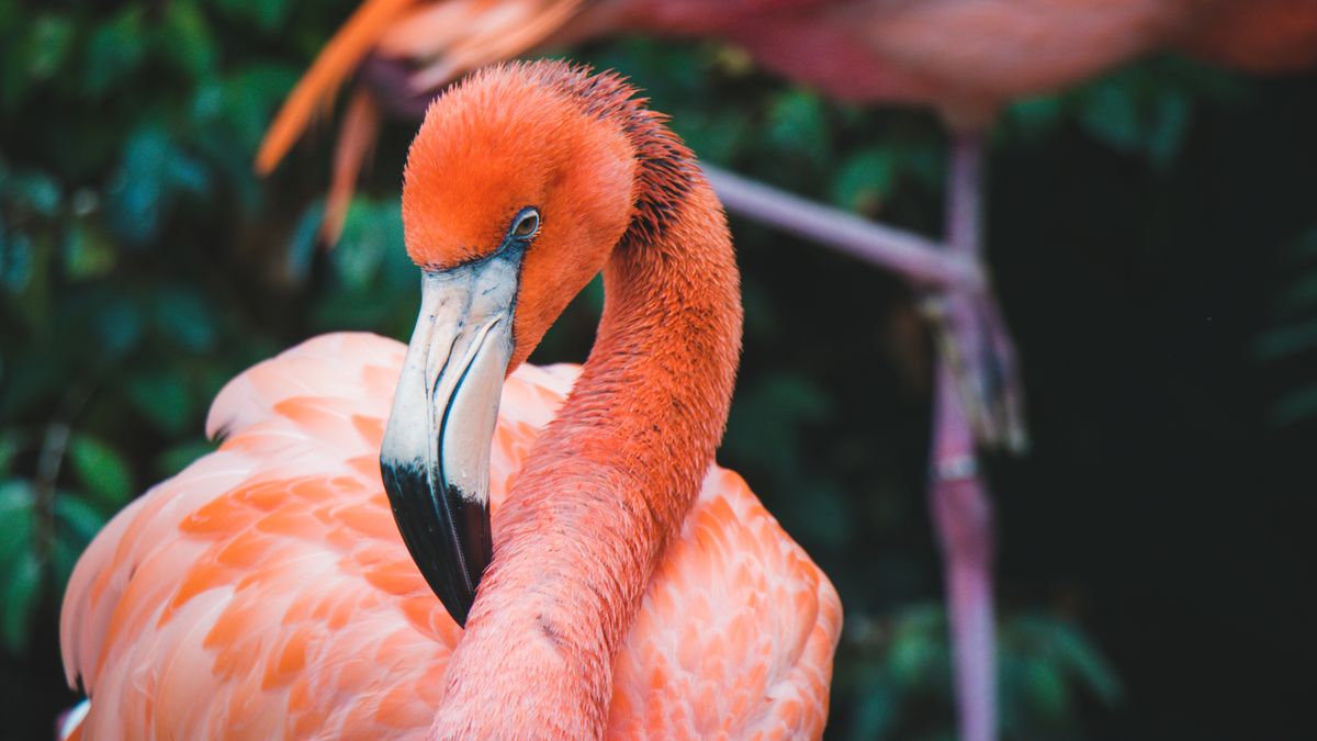 Top Corpus Christi, TX Beauty Giveaways With No Purchase Necessary: Safe Entry Guide