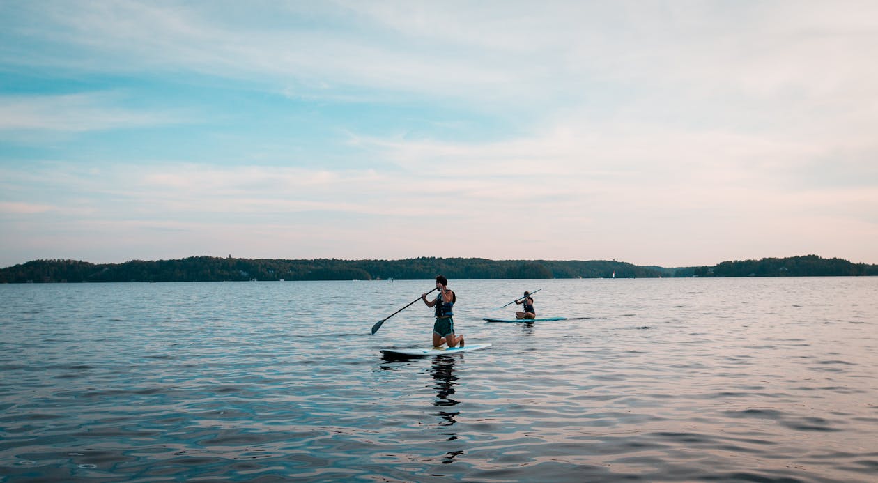 People with rows on paddleboards