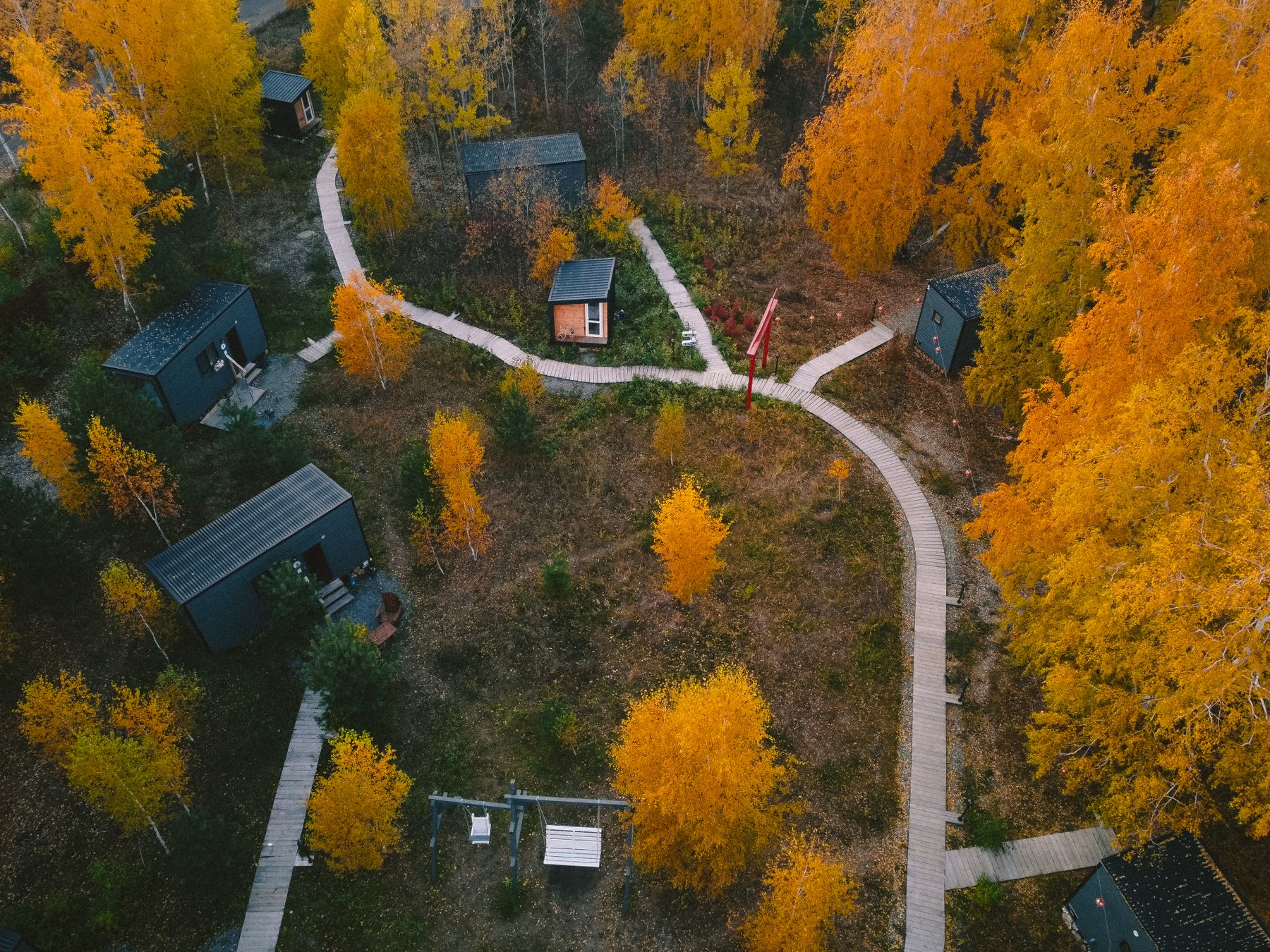 Aerial view of modern cabins surrounded by autumn trees