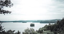 宁静的湖景被郁郁葱葱的树木和远处的山丘环绕，非常适合自然爱好者