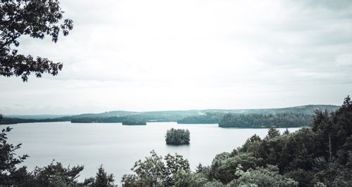 Free Tranquil view of a lake surrounded by lush trees and distant hills, perfect for nature lovers. Stock Photo