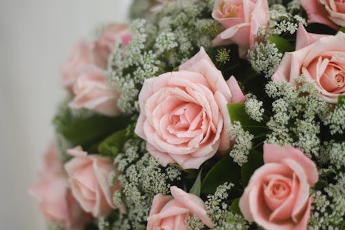 Bunch of Pink Roses in Close Up Photography