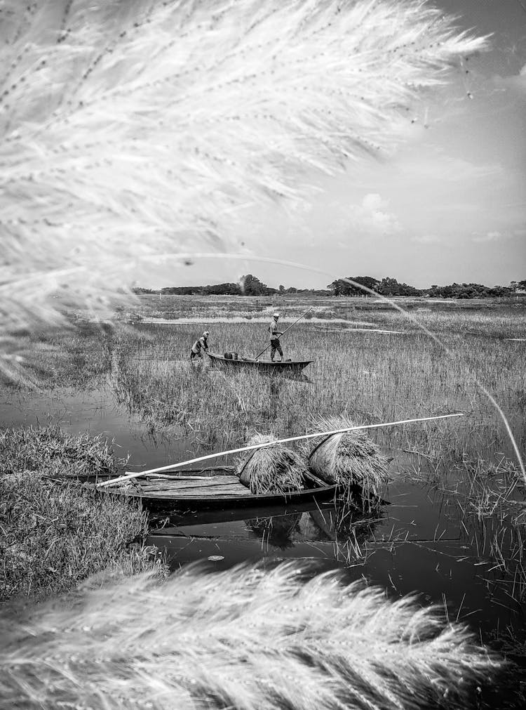 Men Fishing In Marsh