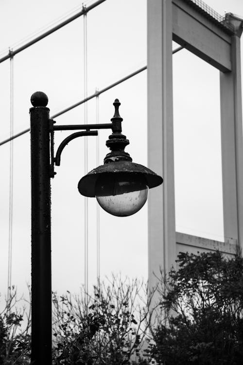 Black-and-White Photography of a Lamp Post