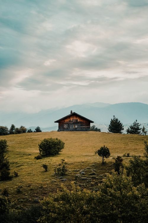 Free A solitary wooden cabin amidst lush greenery and rolling hills in a tranquil landscape. Stock Photo