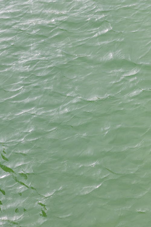 Gratis stockfoto met gebied met water, golven, groen water