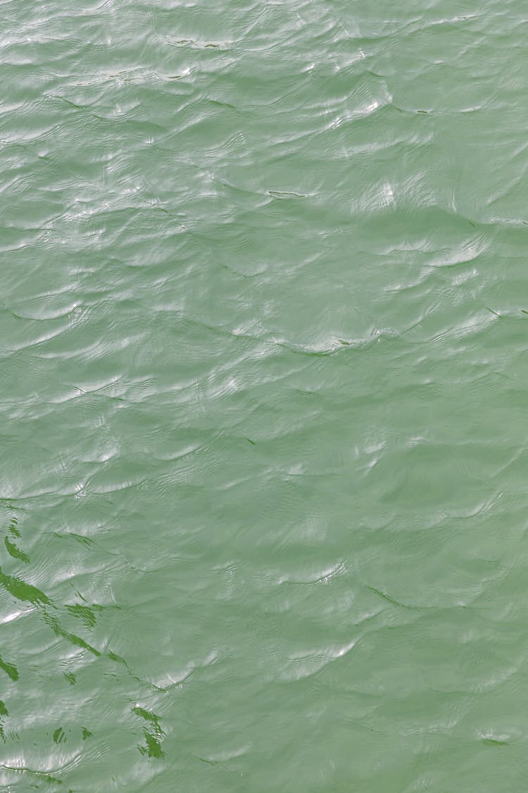 Photo Of Green Water 