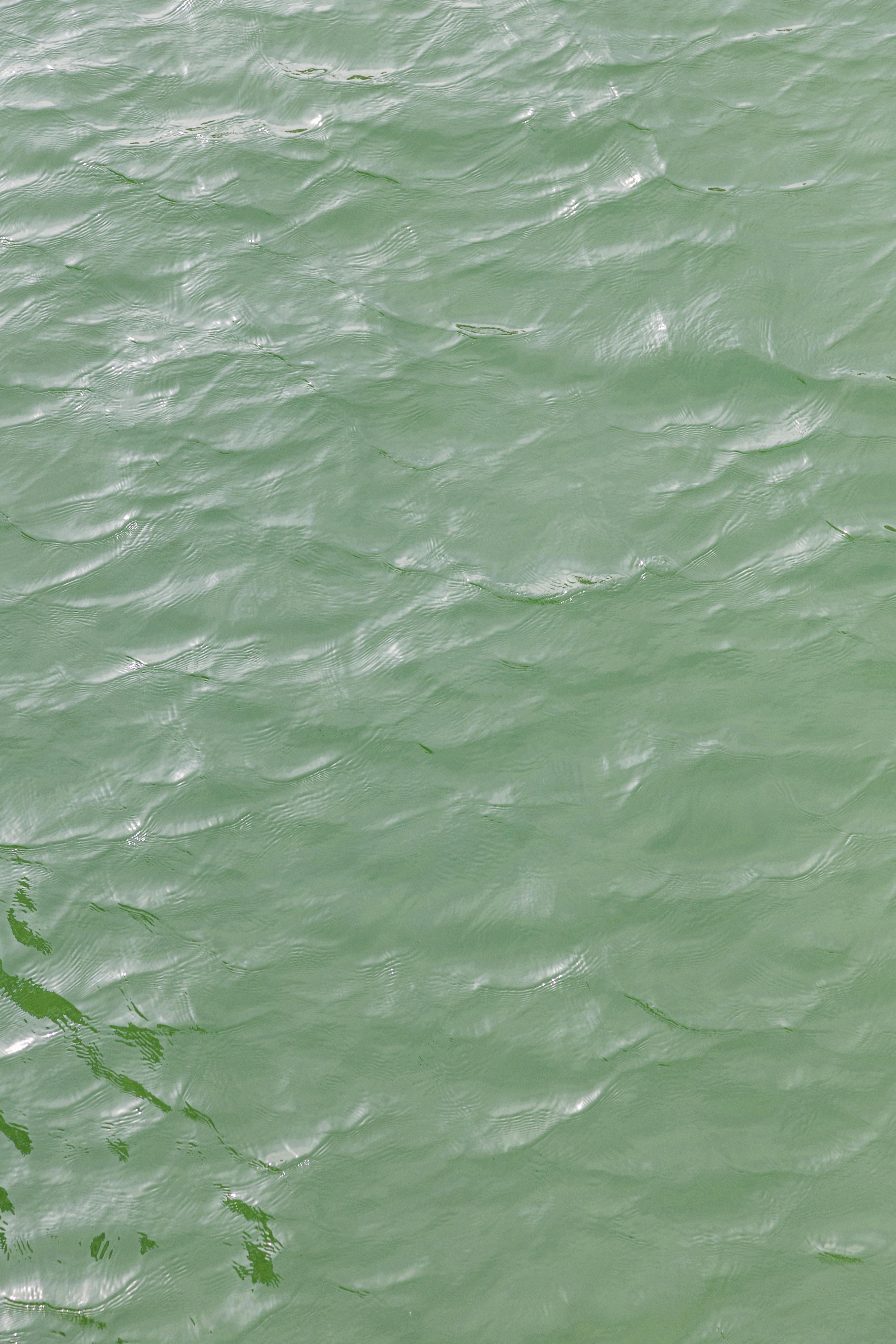 Green Water Photos, Download The BEST Free Green Water Stock Photos & HD  Images