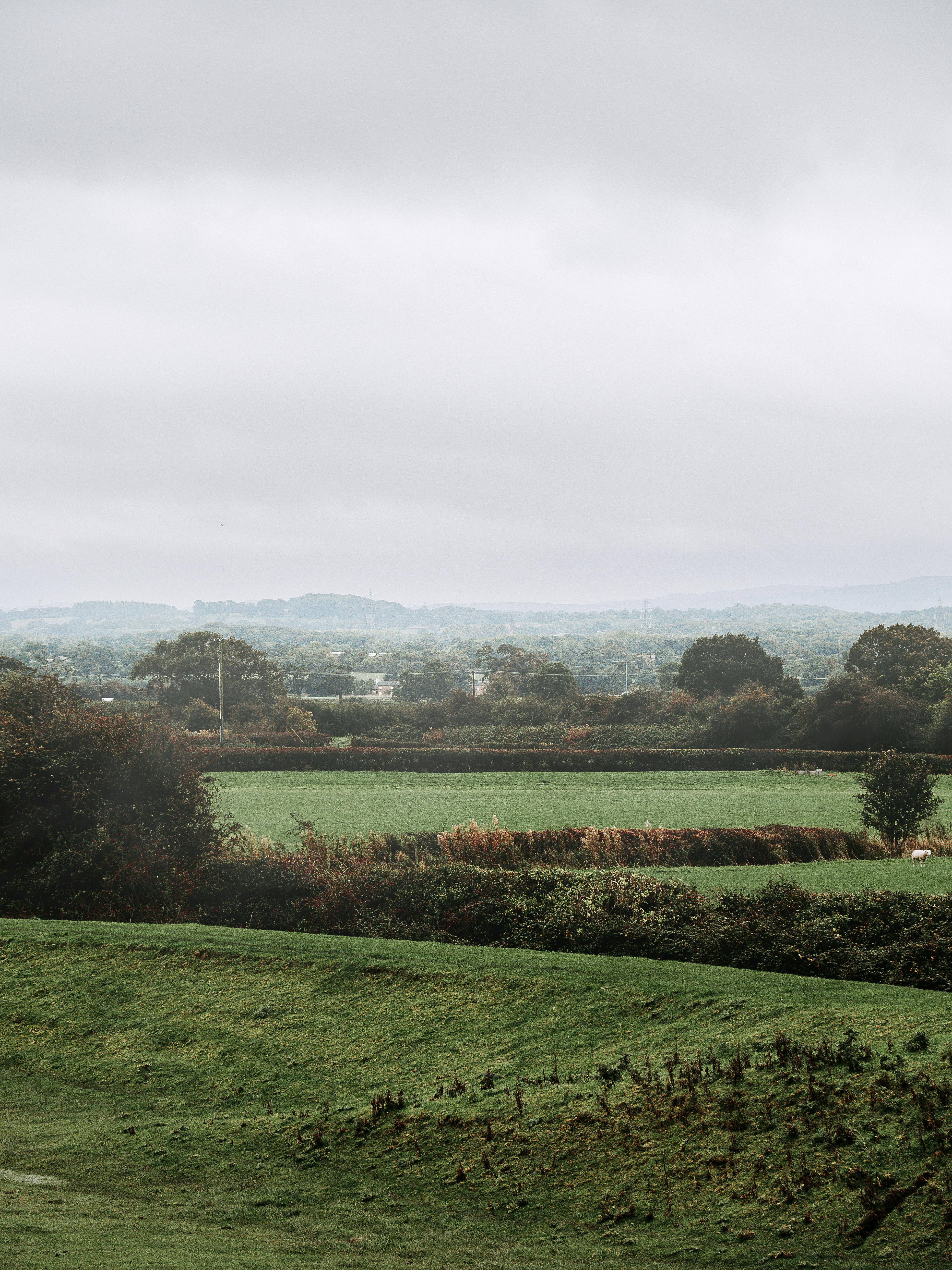 Serene landscape of green fields in Rhuddlan, Wales, capturing the peaceful essence of nature.