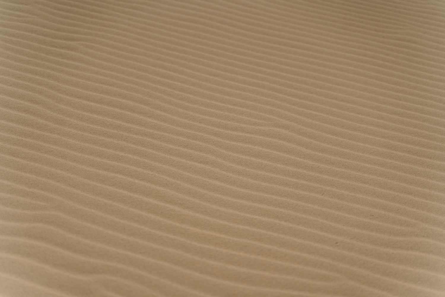 Seamless Sand Texture Photos, Download The BEST Free Seamless Sand ...