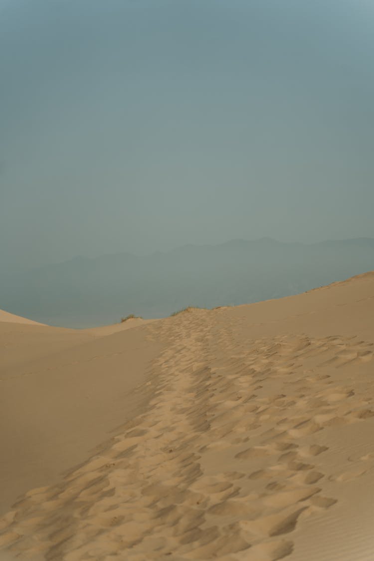 Footsteps On The Desert