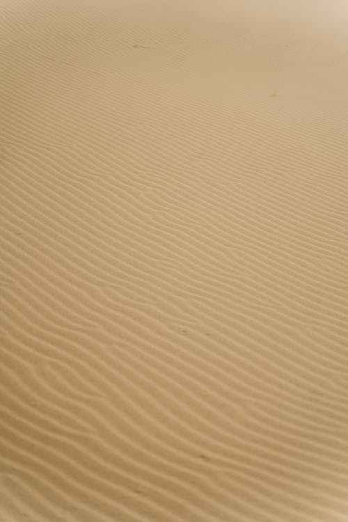 Photos gratuites de désert, dunes, dunes de sable