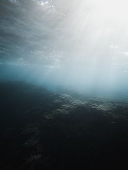 Peaceful underwater view of a coral reef in Japan, showcasing light rays penetrating through the ocean.