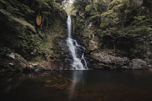 Gratis stockfoto met cascade, Japan, klif