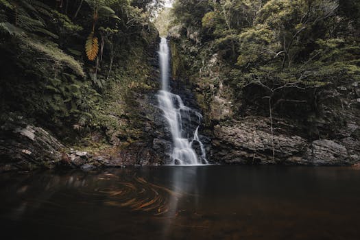 Discover the tranquil beauty of a cascading waterfall surrounded by lush green foliage in a serene forest setting in Japan.