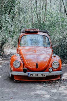 A classic orange Volkswagen Beetle parked in a serene forest setting, perfect for weddings.