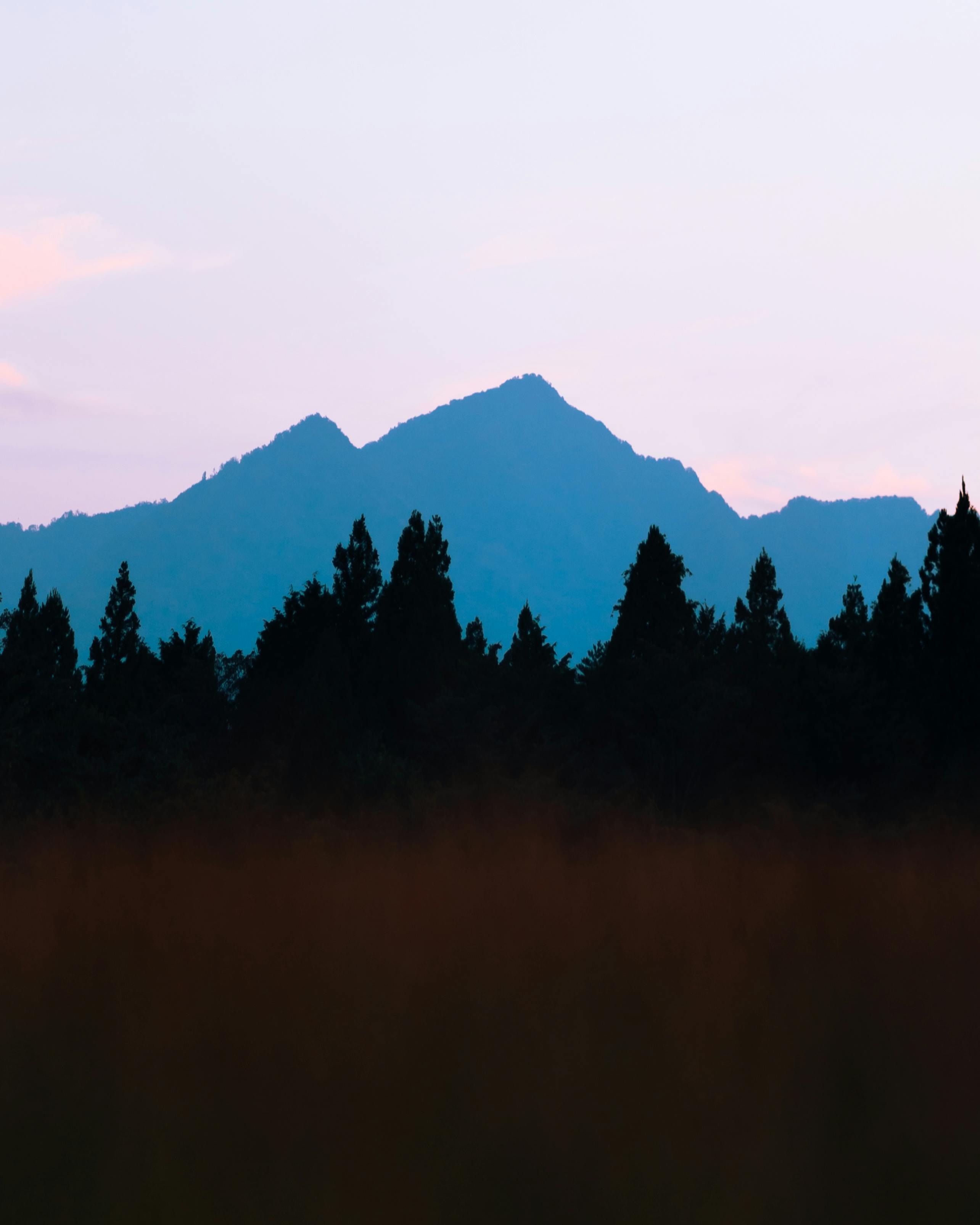 Silhouette of a forest with a mountain backdrop during twilight in Japan, capturing nature's serene beauty.