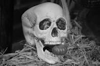 Grayscale Photo of Skull on Grass