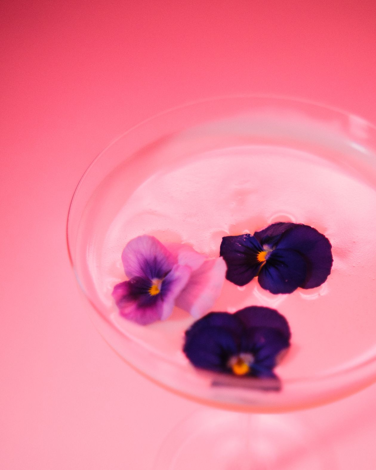 Vibrant edible pansies artistically arranged on a glass plate
