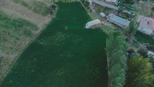 ağaçlar, arazi, çimenlik içeren Ücretsiz stok fotoğraf