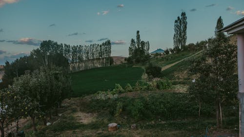 Farming in the Mountain Area