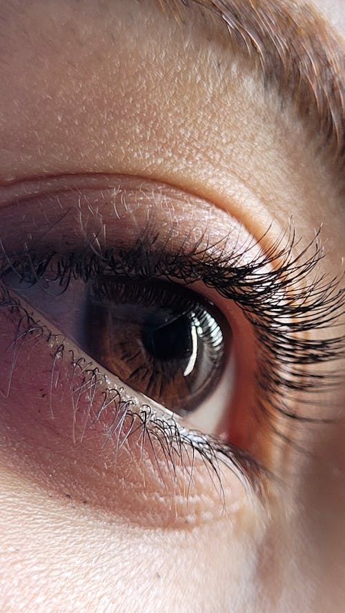 Macro Shot of a Person's Eye