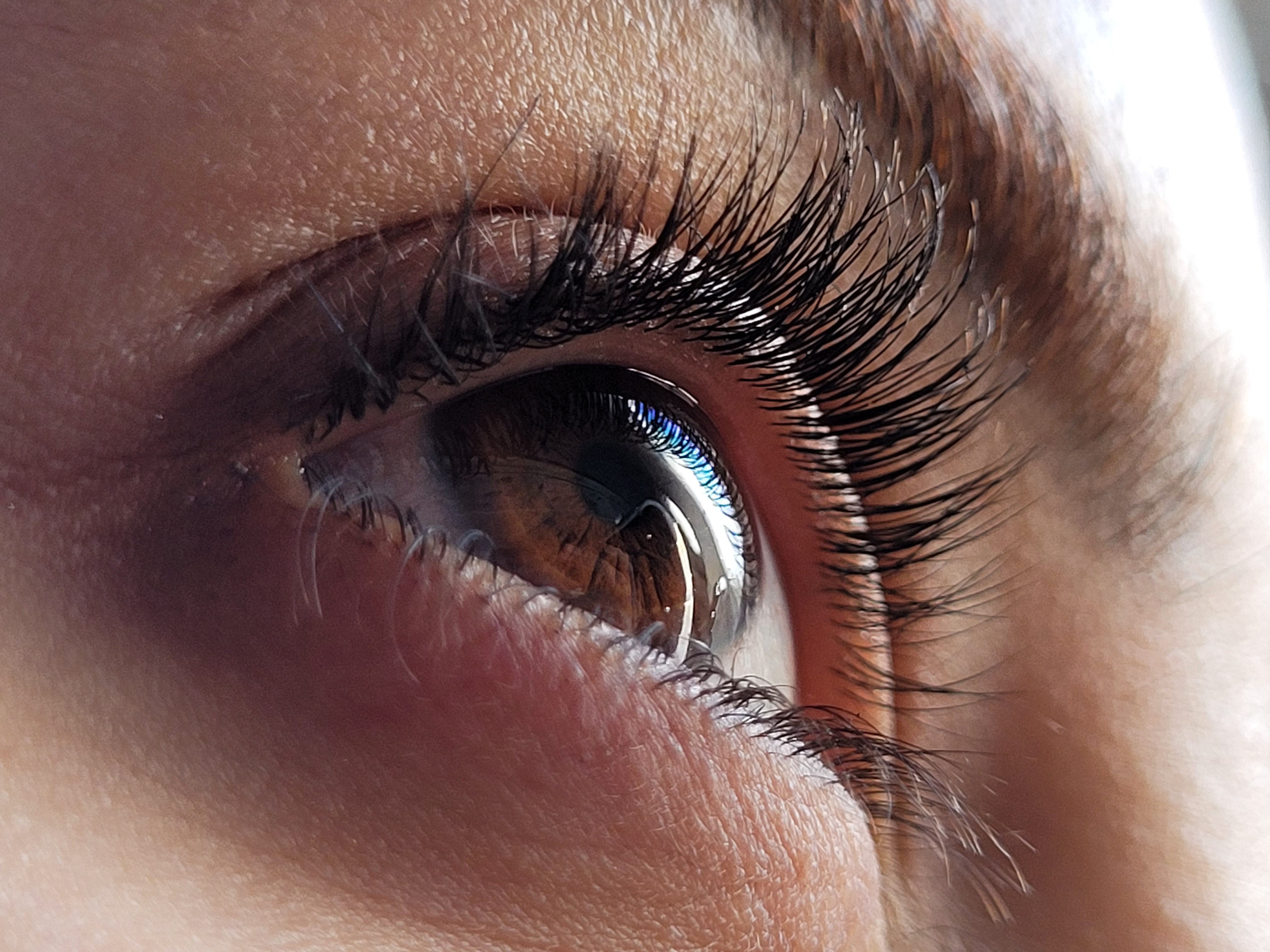 Wimpernlifting Zuhause Lash Fazit 2026