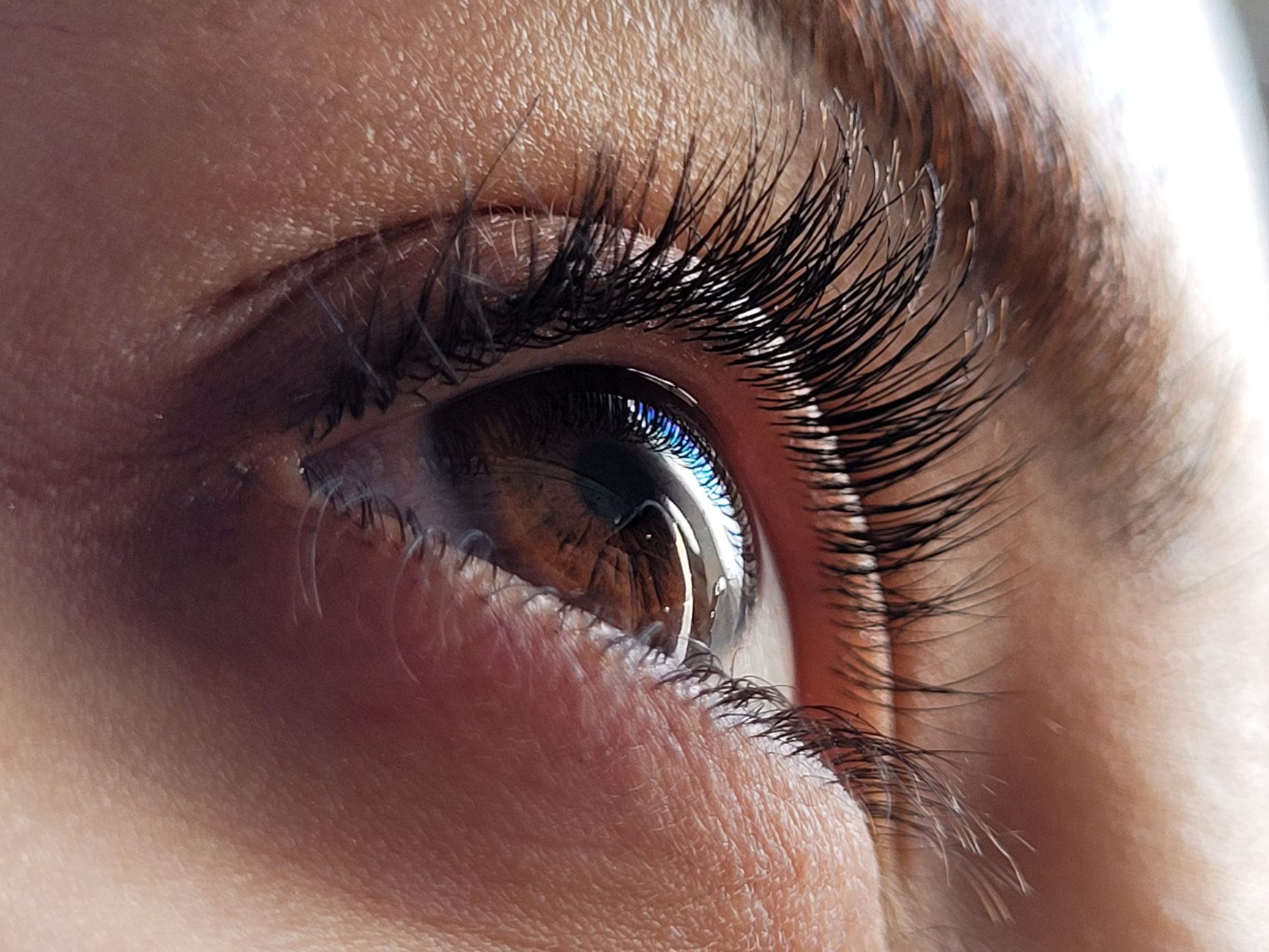 Wimpernlifting Zuhause Lash Fazit 2026