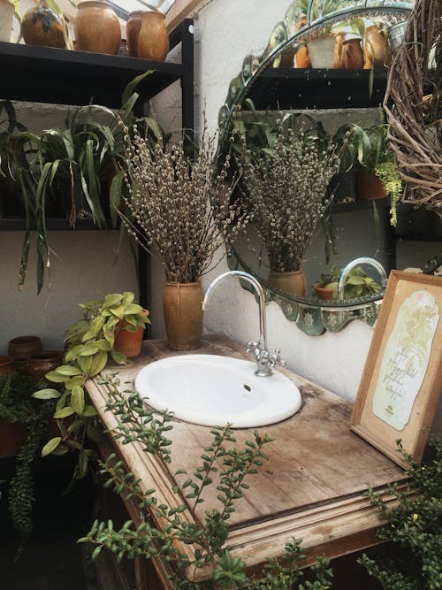 Mirror and Sink in Room Full of Plants