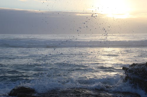 Океанские волны бьют каменный валун