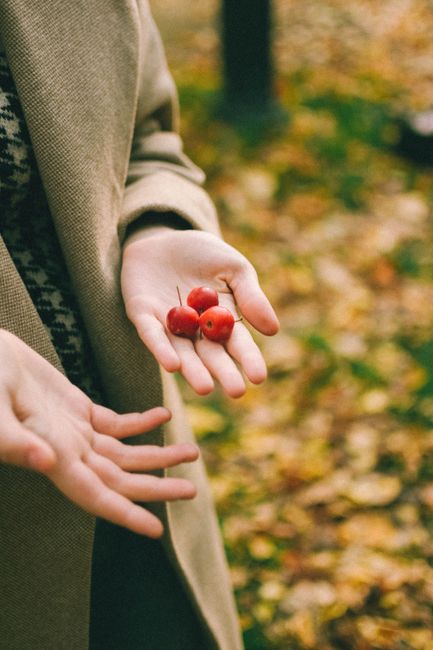 A person in a coat holds small red berries amidst an autumnal background with fallen leaves.