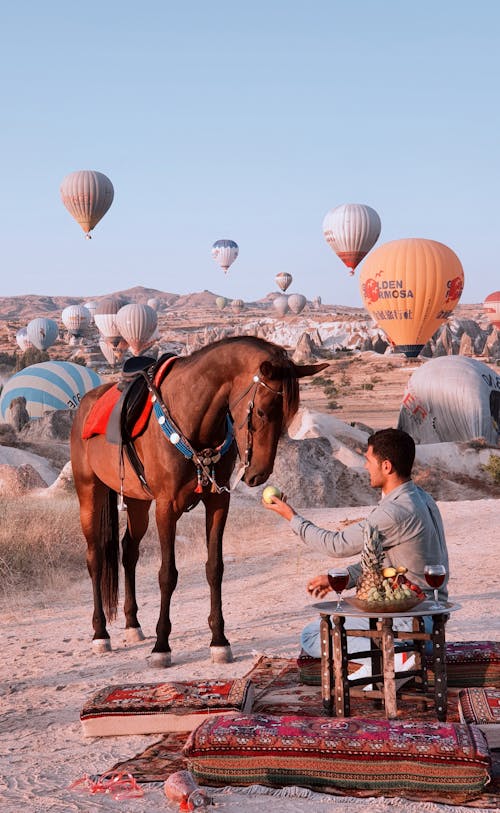 Man Feeding Horse with Balloons in Background