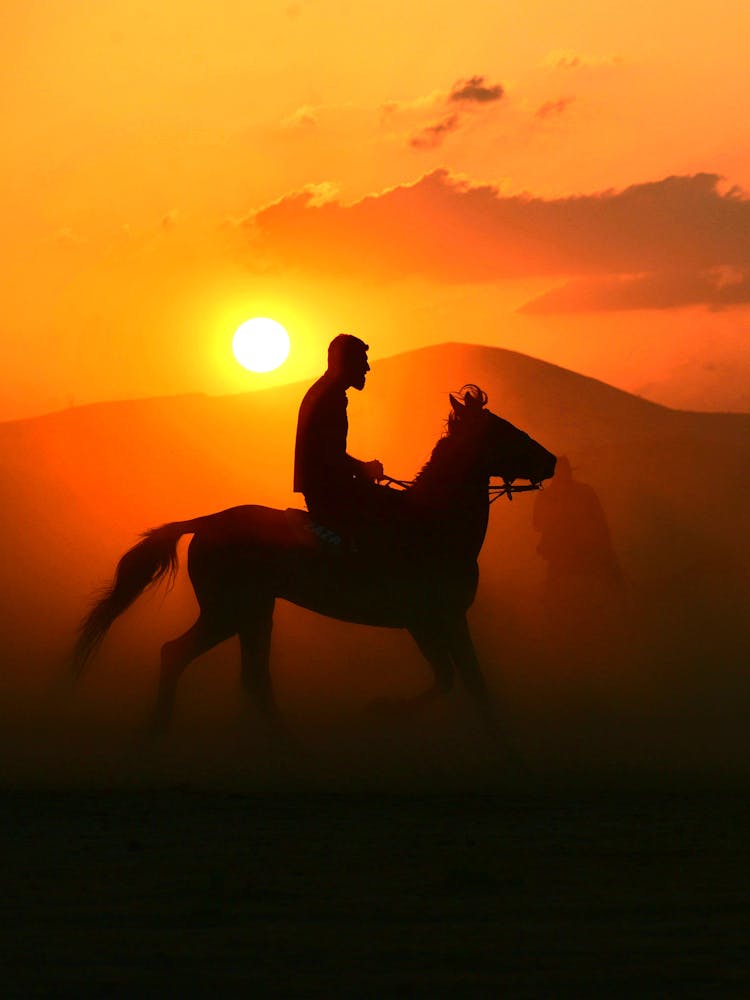 Silhouette Of Man Riding Horse At Sunset