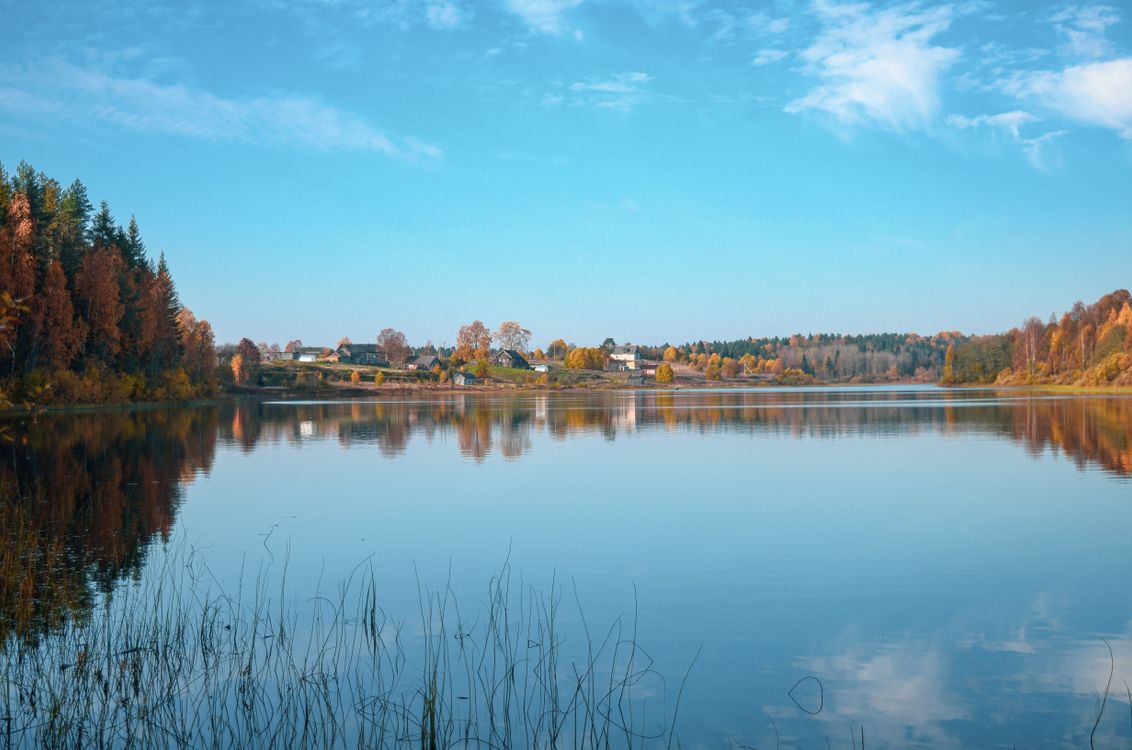 Lake Near Trees Under Blue Sky · Free Stock Photo
