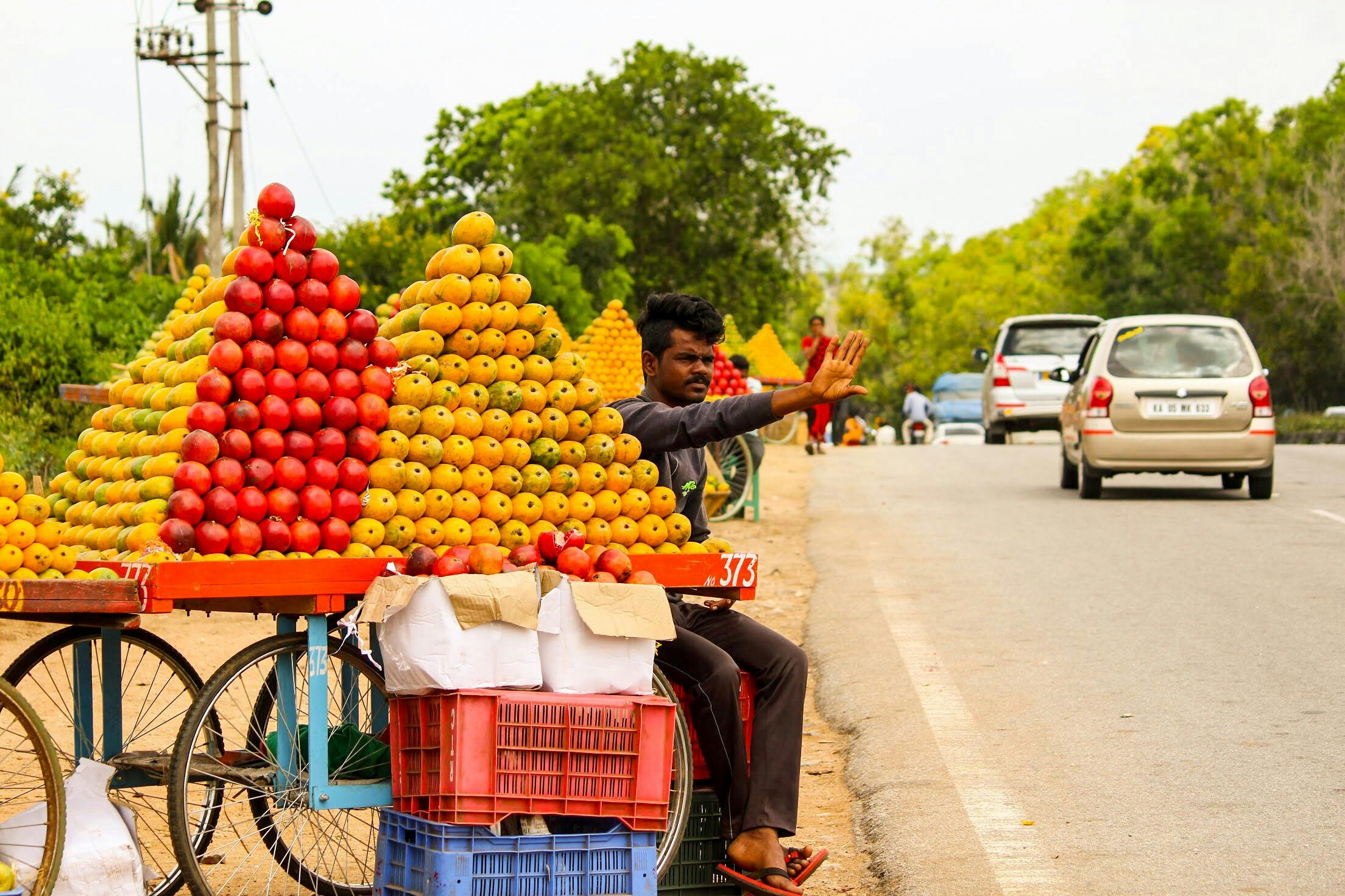 Free stock photo of fruits, mangoes, seller