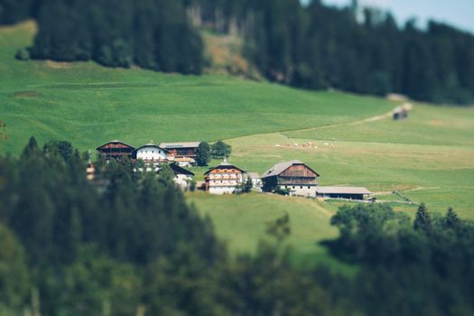 Charming rural village nestled in a verdant landscape with grazing fields and serene atmosphere.