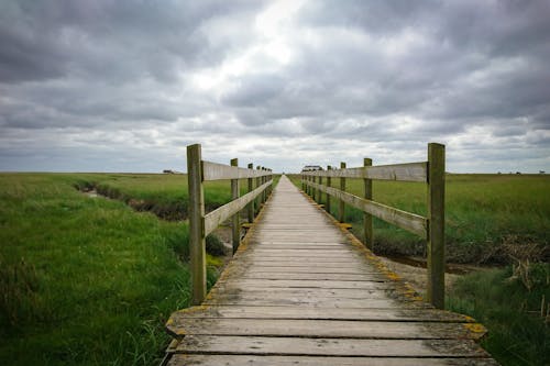 Brown Dock and Grass Field