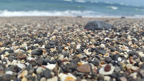 Beach Shore'un Sığ Fotoğrafı