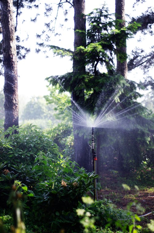 Free Sprinkler surrounded with Plants  Stock Photo