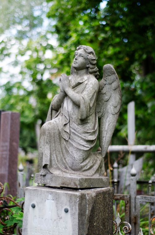 Free A weathered angel statue in a cemetery surrounded by lush greenery. Perfect for peaceful themes. Stock Photo