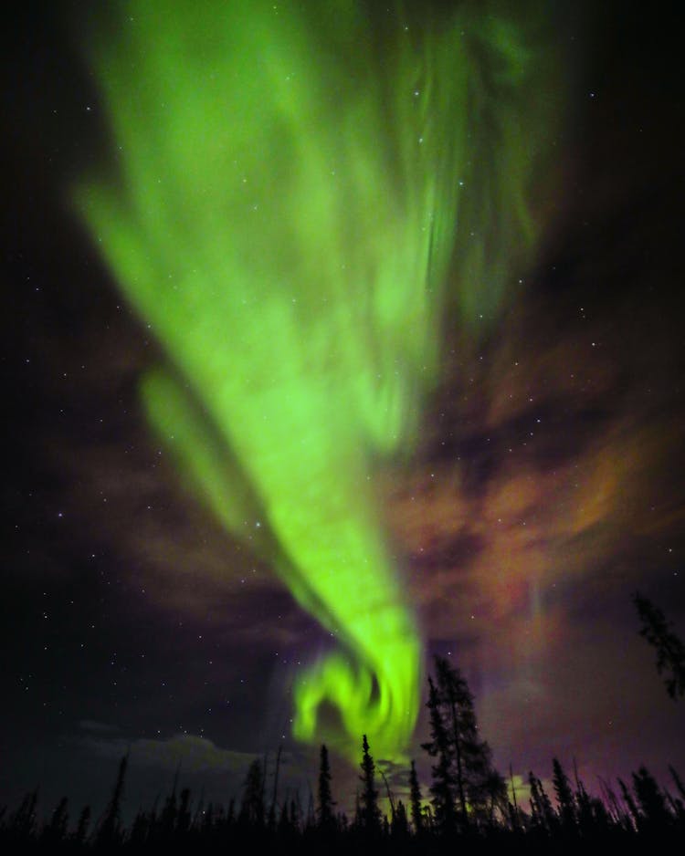 Aurora Borealis Phenomenon Over Northern Forest