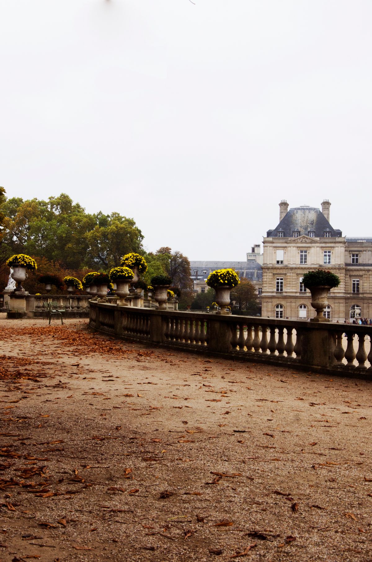 The Luxembourg Palace behind a stone balustrade