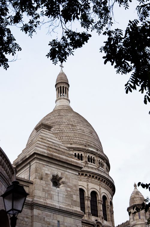 Free Close-up of the Sacré-Cœur dome framed by trees in Paris, France. Stock Photo