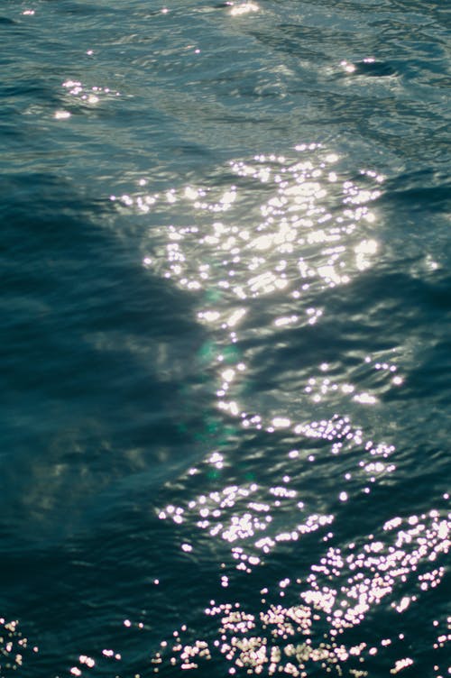 
Light Reflecting on the Surface of the Water