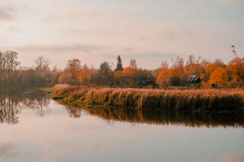 Free Serene fall scene with golden trees reflecting on a calm lake. Stock Photo