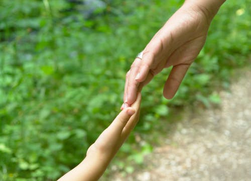 Photo of a Child's Hand Touching Another Person's Hand