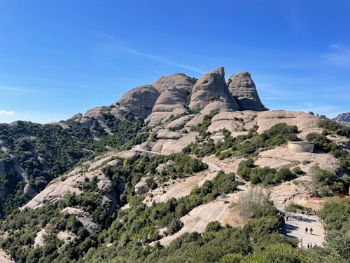 Green Trees on Brown Rocky Mountain Under Blue Sky